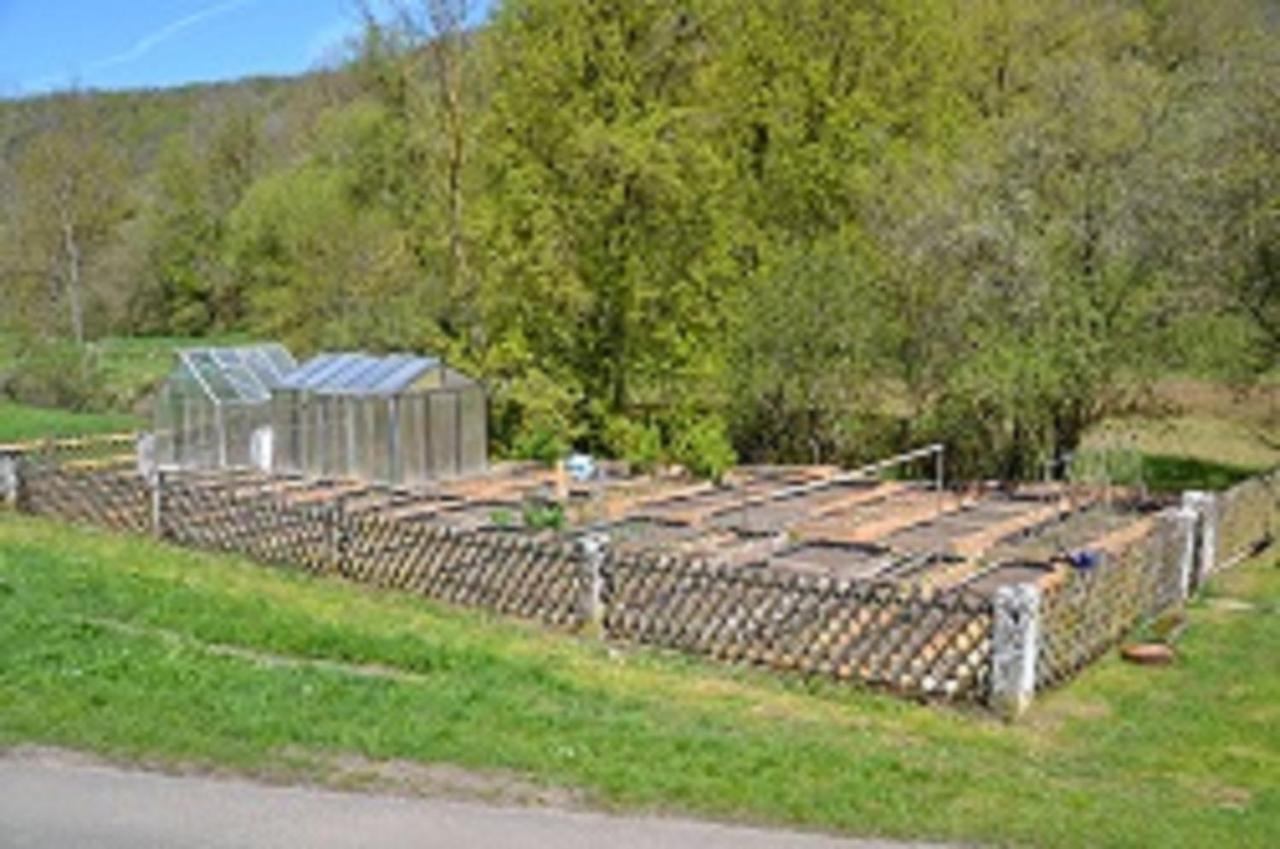 Gasthaus Holdermuehle Creglingen Luaran gambar