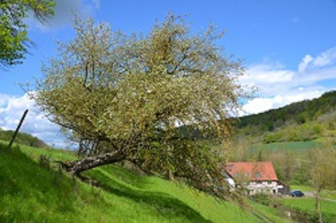 Gasthaus Holdermuehle Creglingen Luaran gambar